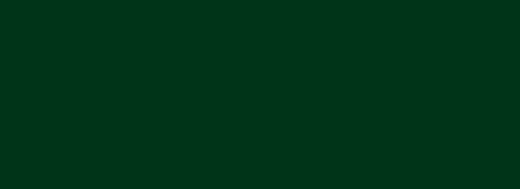 ral-6005-vert-mousse.jpg -