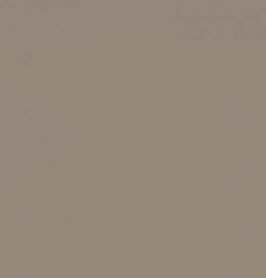 salgar-couleur-taupe-brillant.jpg -